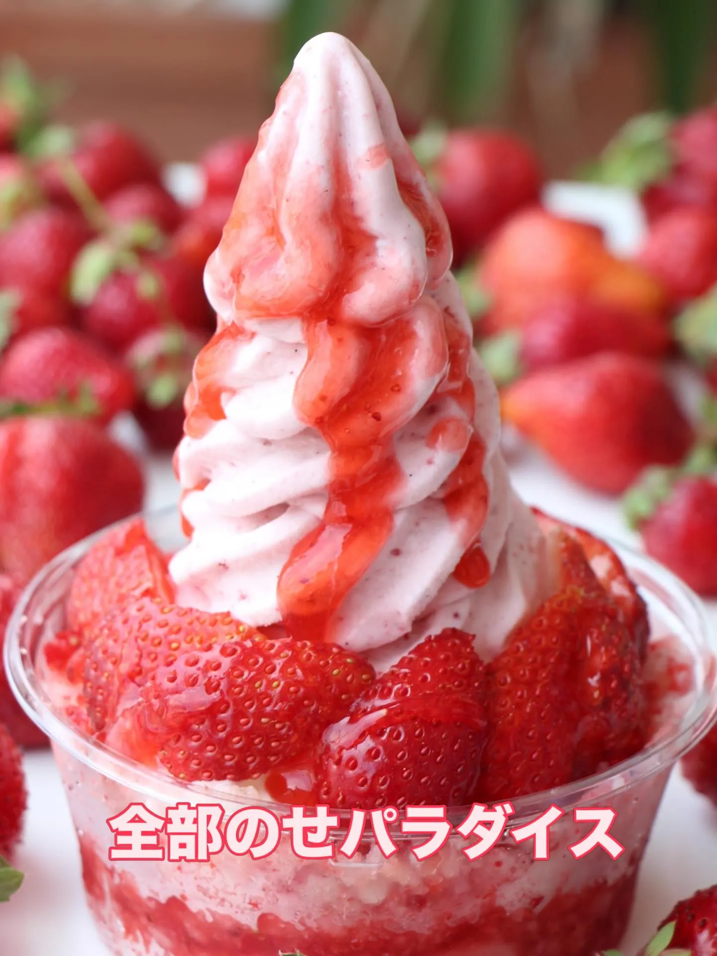 今年もやります